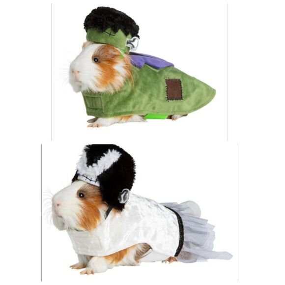 Frankenstein Bride Costume AND Frankenstein - 2! Thrills & Chills™ Small Animal - Picture 1 of 9